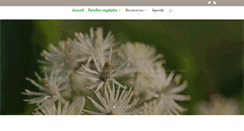 Desktop Screenshot of flore-mediterraneenne.com