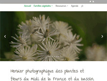 Tablet Screenshot of flore-mediterraneenne.com